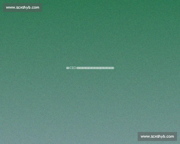 曼联 CEO 贝拉达力挺新球场计划:政府支持是区域复兴的关键引擎