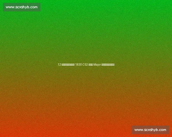 12 强晋级战落幕！今晚 1830 CS2 奥斯汀 Major 四强席位争夺战打响