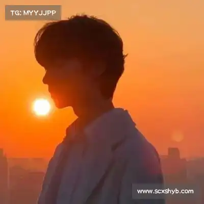 支宏聪